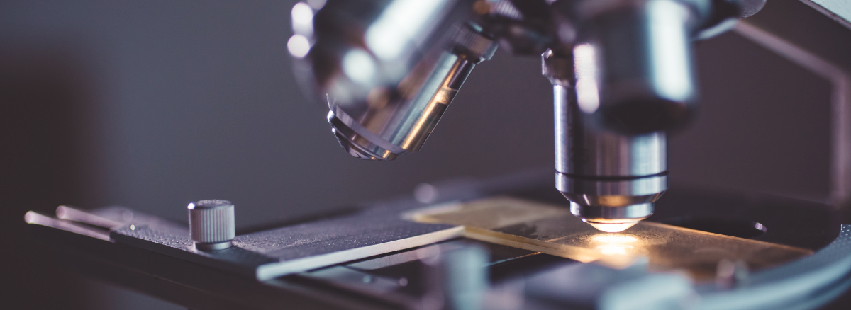 Top Research Leaders Predict the Future of Research