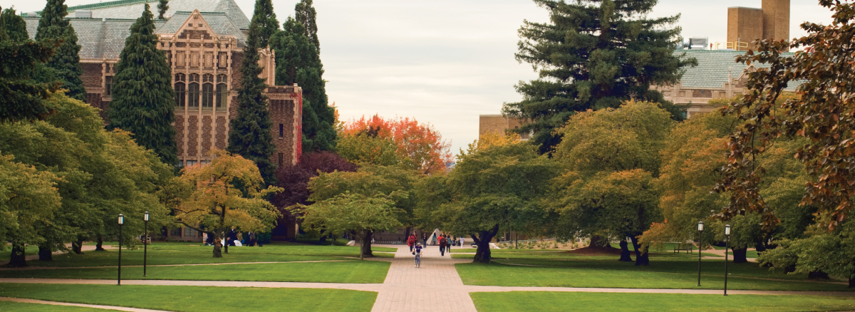 Higher Education