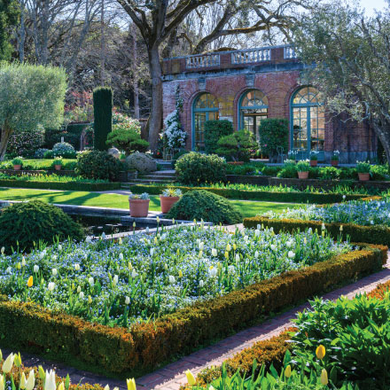 Sunken Garden view towards the Garden Jeff Bartee House with white impression and baby blue eyes.